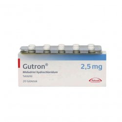Гутрон таблетки 2,5 мг. №20 в Йошкар-Оле и области фото